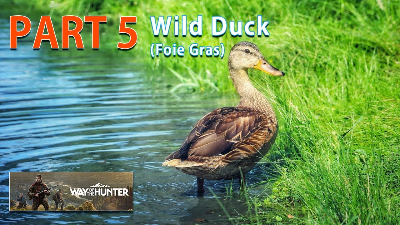 Way Of The Hunter (Part 5) | Wild Duck Foie Gras