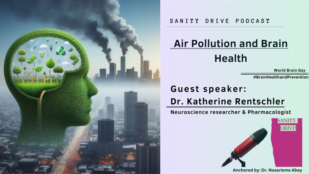 Air Pollution and Brain Health