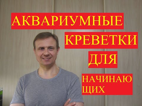 Видео: АКВАРИУМИСТИКА. АКВАРИУМНЫЕ КРЕВЕТКИ ДЛЯ НАЧИНАЮЩИХ.