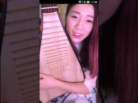 琵琶 青花瓷 Up直播