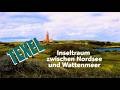 Texel - Inseltraum zwischen Nordsee und Wattenmeer
