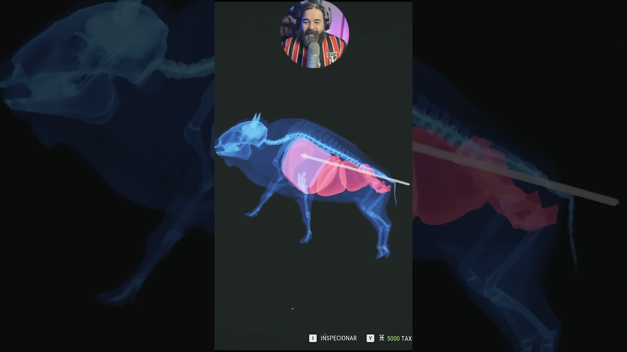 O PODER DO ARCO MAIS BARATO DO JOGO