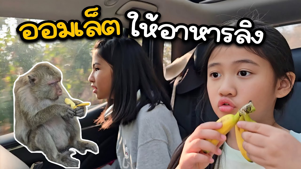 ออมเล็ต ให้อาหารลิง ที่เขาสามมุข