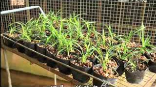 20101110-1《草根菩提》仙境家園