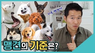 맹견의 기준은?｜수밤라이브