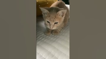 ShAkE tHat BotToM LiNe 😫💅✨