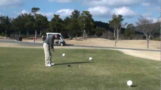 20100124-1-1.mpg