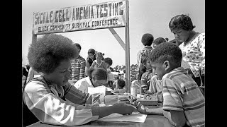 Dear BLACK People We NEED to talk A Commentary and Critique ThisBahamianGyal