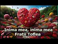 Fratii Toflea - Inima mea, inima mea