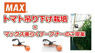 楽らくテープナー トマト吊り栽培使用事例【マックス公式】