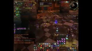 Multitude VS Nef