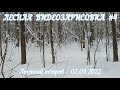 Лесная видеозарисовка #4/Горски видео скица #4/Forest Video sketch #4  03.04.2022 #лесопарк #природа