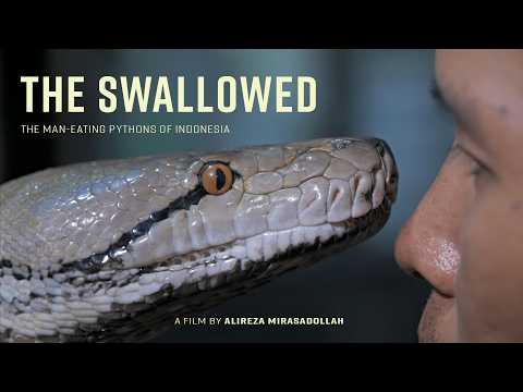 The Swallowed | Trailer | Coming Soon