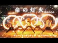 【ヲタ芸】命の灯火 【ディープインサニティ ザ・ロストチャイルド op】