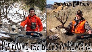 Icon Tour Day 10 - Montana Mule Deer Hunt - We Found The Bucks in Montana