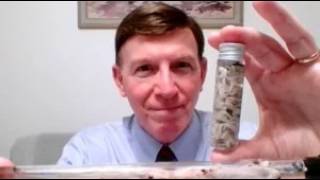 Details Coffee with MarkZ, joined by Bob Lock and Zester. 08/05/2026 Update
