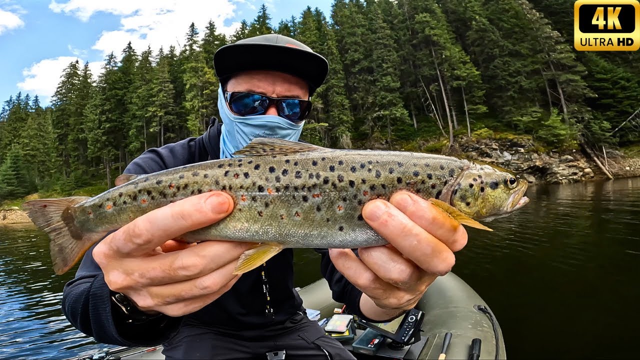 LACUL în care au scăpat TONE de PĂSTRĂV de CRESCĂTORIE |4K|.
