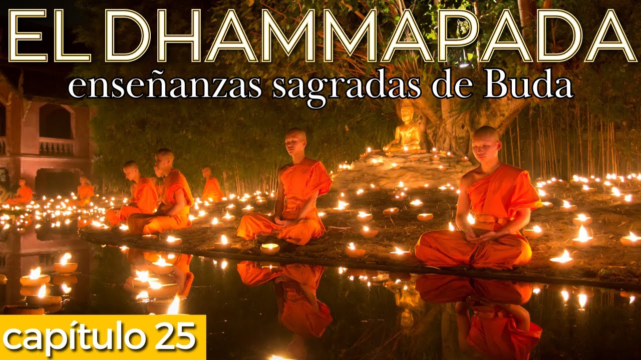 Sigue el camino del MONJE - El Dhammapada - enseñanzas de Buda ...