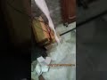 📦 Day 113 Meesho Order Packing 📦 Daily Dispatch 🔥