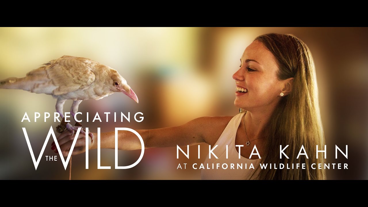 Appreciating the Wild with Nikita Kahn YouTube
