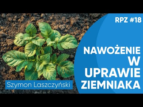 Wideo: Jak odzyskać nadpłatę podatku? Rozliczenie lub zwrot nadpłaty. pismo o zwrocie podatku