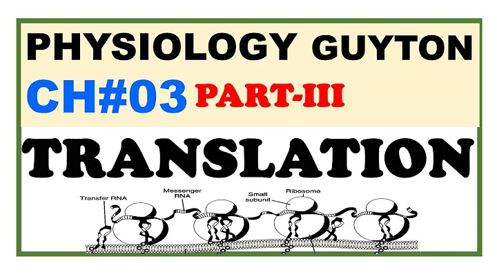 Chp#3(Part-III) Guyton Physio | Translation | mRNA to Protein | Gene Expression