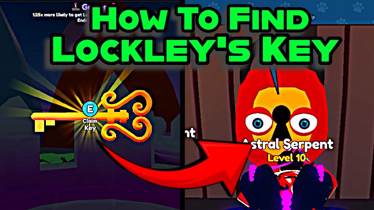 Lockley's 🤔 HOW TO FIND LOCKLEY'S KEY (FINAL AREA) IN PET CATCHERS - YouTube