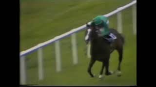 Irish Derby 1981 -  Shergar