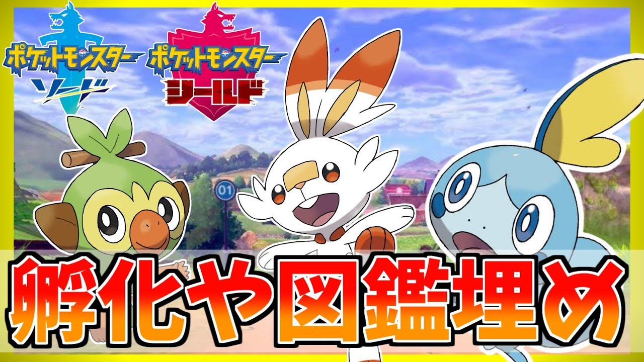 ポケモン剣盾 必見 超簡単にメタモンを乱獲 巣穴リセットで確実にメタモンを出現させる超裏技 ポケットモンスター ソード シールド Youtube