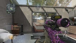 QUAD HEADSHOT WALLBANG ON RAID!!! (BO2)