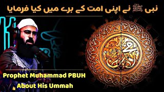 Nabiﷺ Ne Apni Ummat Ke Bare Mein Farmaya || Prophet Muhammad PBUH About His Ummah || Tuaha Ibn Jalil