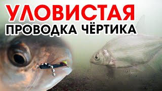 УЛОВИСТАЯ ПРОВОДКА ЧЕРТИКА / Зимняя рыбалка Раубичи Дубровское вдхр