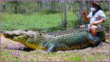 Aussie Crocodile Hunter Collects Croc Eggs 🥚 | Deadliest Pests Down Under 🦘