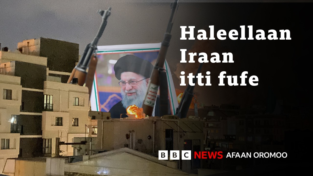 Xiyyaaronni Ameerikaa Kuweetitti kufuufi babal'achuu waraana US - Israa'el fi Iraan