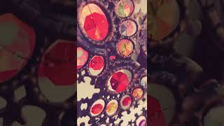 A Great Meal In Randaberg, Rogaland