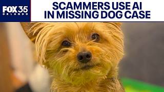 AI scammers target Michigan family searching for missing Yorkie