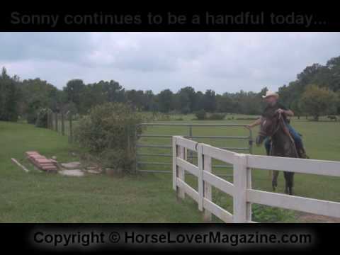 Getting Your Horse Through a Gate