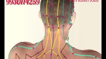 Gall Bladder Meridian