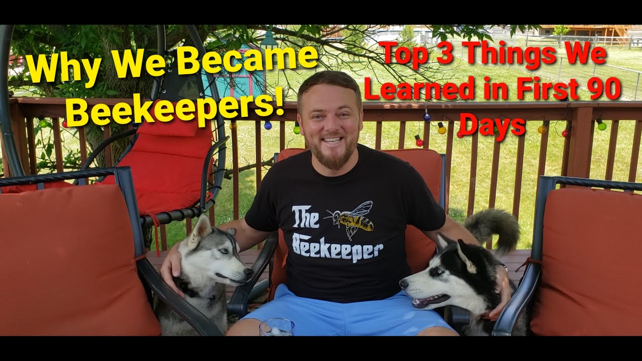 Honey Bee Keeping How I became a Beekeeper - YouTube