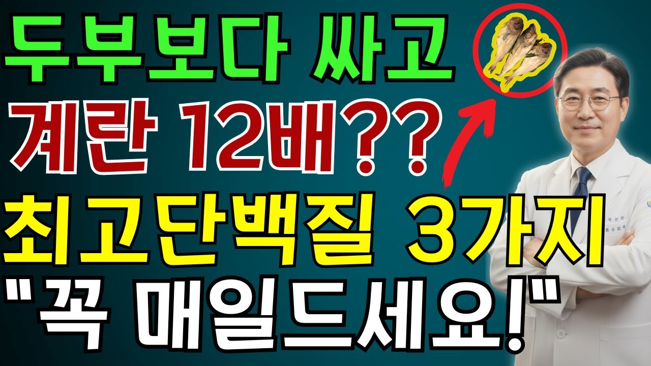 근육감소, 제일 쉽게 해결하는법? 계란 12배 단백질 3가지 | 노인 건강 | 의사가 말하는 영양