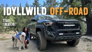 A 3-Day Off-Road Adventure Through Idyllwild & Pine Cove | onX Offroad Rugged Adventures