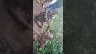 Kuvuta bangi kwa jeshi -Part 3