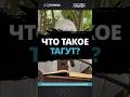 Что такое тагут? || Сирадж Абу Тальха