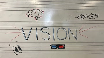 Vision (Cognitive Psych 2145 Video Project 2)