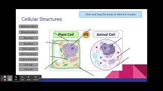 Unit 3  Bend 2 Interim 4 Review : Part 1