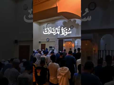 القارئ صلاح المصلي