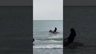 Woman Rides Horse in Sea Along Shore