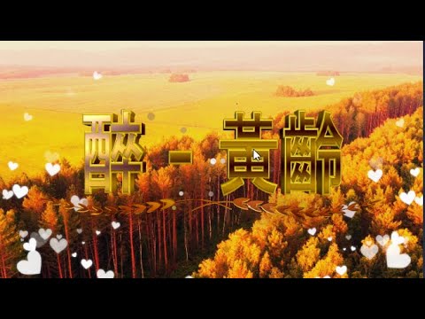 醉 - 黃齡