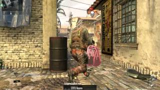 Black Ops 2: Hellstorm Faail