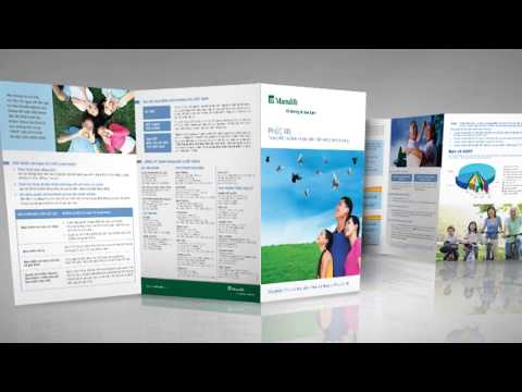 Video Giới thiệu về Manulife Việt Nam - youtube